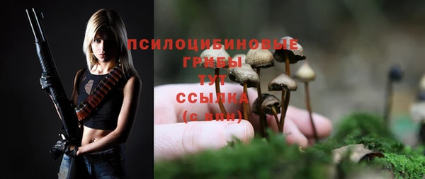 амф Абаза