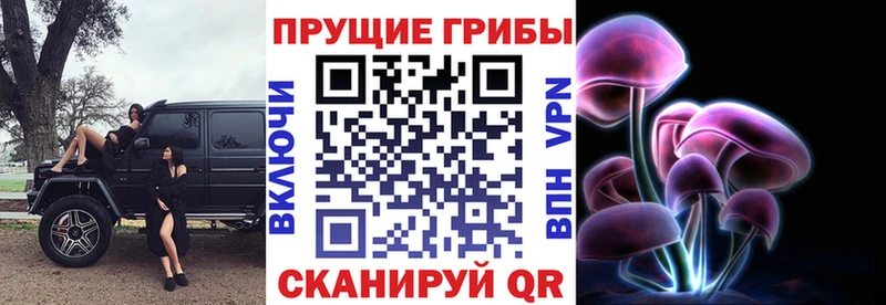 магазин продажи наркотиков  ОМГ ОМГ ONION  Галлюциногенные грибы ЛСД  Сортавала 
